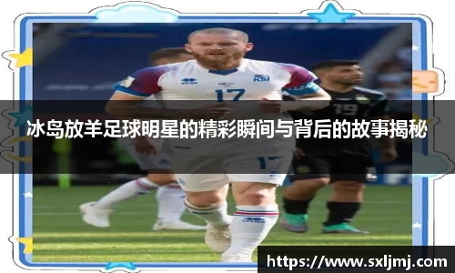 冰岛放羊足球明星的精彩瞬间与背后的故事揭秘